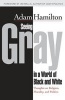 Seeing Gray in a World of Black and White - Thoughts on Religion, Morality, and Politics (Paperback) - Adam Hamilton Photo