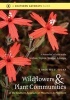 Wildflowers and Plant Communities of the Southern Appalachian Mountains and Piedmont - A Naturalist's Guide to the Carolinas, Virginia, Tennessee and Georgia (Paperback, 1st New edition) - Timothy P Spira Photo