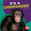 It's a Chimpanzee! (Hardcover) - Tessa Kenan Photo