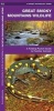 Great Smoky Mountains Wildlife - A Folding Pocket Guide to Familiar Species (Pamphlet) - James Kavanagh Photo