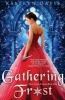 Gathering Frost (Paperback) - Kaitlyn Davis Photo