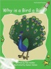 What Makes a Bird a Bird?, Level 4 - Early (Paperback, International edition) - Pam Holden Photo