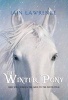 The Winter Pony (Paperback) - Iain Lawrence Photo