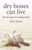 Dry Bones Can Live - How to be Part of a Healthy Church (Paperback) - James John Photo