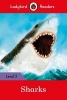 Sharks -  Readers, Level 3 (Paperback) - Ladybird Photo