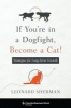 If You're in a Dogfight, Become a Cat! - Strategies for Long-Term Growth (Hardcover) - Leonard Sherman Photo