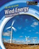 Wind Energy (Paperback) - Elizabeth Raum Photo