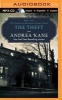 The Theft (MP3 format, CD) - Andrea Kane Photo