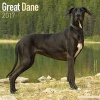 Great Dane Calendar 2017 (Calendar) - Avonside Publishing Ltd Photo