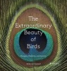 The Extraordinary Beauty of Birds - Designs, Patterns and Details (Hardcover) - Deborah Samuel Photo