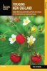 Foraging New England - Edible Wild Food and Medicinal Plants from Maine to the Adirondacks to Long Island Sound (Paperback, 2nd Revised edition) - Tom Seymour Photo