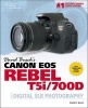 's Canon EOS Rebel T5i/700D Guide to Digital SLR Photography (Paperback) - David Busch Photo