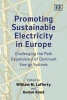 Promoting Sustainable Electricity in Europe - Challenging the Path Dependence of Dominant Energy Systems (Paperback) - William M Lafferty Photo