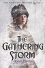 The Gathering Storm (Paperback) - Robin Bridges Photo