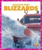 Blizzards (Hardcover) - Cari Meister Photo