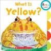 What Is Yellow? (Board book) -  Photo