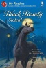 Black Beauty Stolen! (Paperback) - Susan Hill Photo