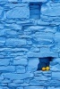 Lemons on a Blue Wall in Cyprus Journal - 150 Page Lined Notebook/Diary (Paperback) - Cool Image Photo