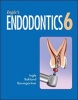 Ingle's Endodontics (Hardcover, 6th Revised edition) - John Ide Ingle Photo