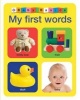 Baby Basics: My First Words (Board book) - Roger Priddy Photo