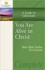 You are Alive in Christ - A Guide to Colossians (Paperback) - Stonecroft Ministries Photo