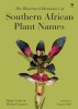 The Illustrated Dictionary of Southern African Plant Names (Paperback) - Hugh Clarke Photo