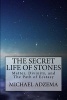 The Secret Life of Stones - Matter, Divinity, and the Path of Ecstasy (Paperback) - Michael Adzema Photo