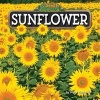 Sunflower (Hardcover) - Joyce L Markovics Photo