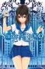 Strike the Blood, Vol. 4 - Labyrinth of the Blue Witch (Novel) (Paperback) - Gakuto Mikumo Photo