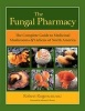 The Fungal Pharmacy - Medicinal Mushrooms and Lichens of North America (Paperback) - Robert Rogers Photo