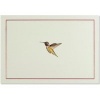 Hummingbird Flight Note Cards (Stationery, Boxed Cards) (Cards) - Peter Pauper Press Inc Photo