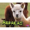 Alpacas (Paperback) - Michelle Hasselius Photo