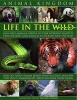 Animal Kingdom - Life in the Wild - How Wild Animals Survive in Their Different Habitats, from Deserts and Jungles to Oceans and the Skies (Hardcover) - Michael Chinery Photo