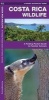 Costa Rica Wildlife - A Folding Pocket Guide to Familiar Species (Pamphlet) - James Kavanagh Photo