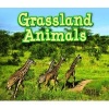 Grassland Animals (Paperback) - Sian Smith Photo