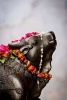 Statue of Nandi, the Sacred Bull Hindu India Journal - 150 Page Lined Notebook/Diary (Paperback) - Cs Creations Photo