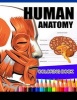 Human Anatomy Coloring Book - Anatomy & Physiology Coloring Book (Complete Workbook) (Paperback) - Dr James K Hudak Photo