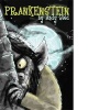 Prankenstein (Paperback) - Andy Seed Photo