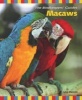 Macaws (Paperback) - Julie Mancini Photo