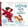 Ladybug Girl and the Big Snow (Hardcover) - David Soman Photo