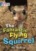 The Fantastic Flying Squirrel - Band 04/Blue (Paperback) - Nic Bishop Photo