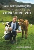 Horses, Heifers and Hairy Pigs - The Life of a Yorkshire Vet (Hardcover) - Julian Norton Photo