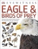 Eagle & Birds of Prey (Paperback) - Dk Photo