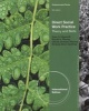 Direct Social Work Practice - Theory and Skills (Paperback, 9th ME Edition) - Glenda Dewberry Rooney Photo