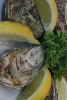 Fresh Oysters and Lemons, for the Love of Food - Blank 150 Page Lined Journal for Your Thoughts, Ideas, and Inspiration (Paperback) - Unique Journal Photo