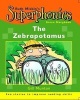 The Zebrapotamus (Paperback) - Gill Munton Photo