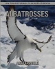 Albatrosses! an Educational Children's Book about Albatrosses with Fun Facts & Photos (Paperback) - Abby Daniele Photo