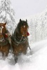 A Sleigh Ride Through the Snow with Two Horses - Blank 150 Page Lined Journal for Your Thoughts, Ideas, and Inspiration (Paperback) - Unique Journal Photo