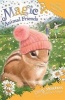 Lola Fluffywhiskers Pops Up, Book 22 (Paperback) - Daisy Meadows Photo