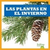 Las Plantas En El Invierno (Spanish, Hardcover) - Jennifer Fretland VanVoorst Photo